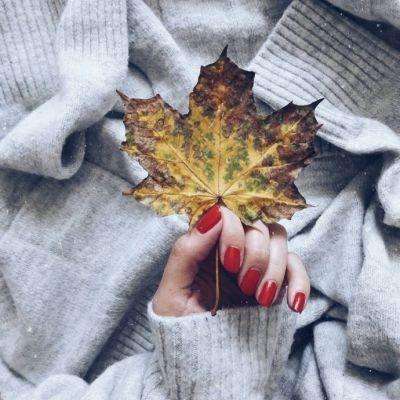 BB贝博平台登录app