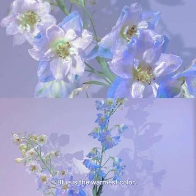 乐鱼app官网正式版下载手机app下载