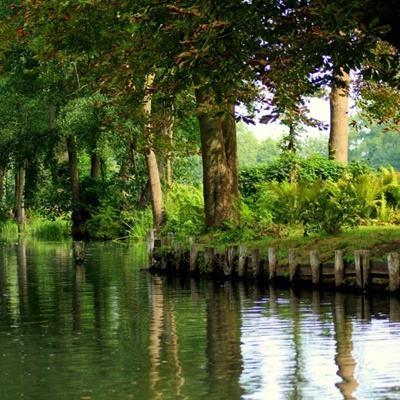 可以上下分捕鱼app手机app下载