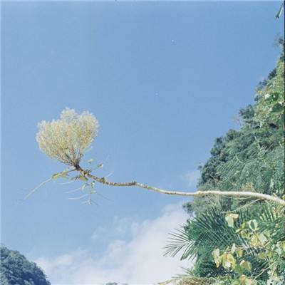 pg电子最新网站入口